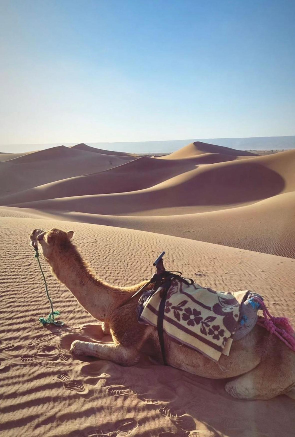 Desert Chegaga Luxury Camp El Gouera Exterior photo